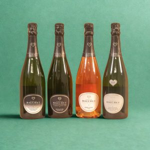 All About Champagne!